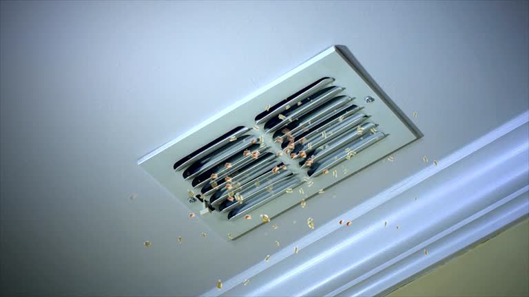 Best Affordable HVAC Duct Cleaning  in Superior, AZ