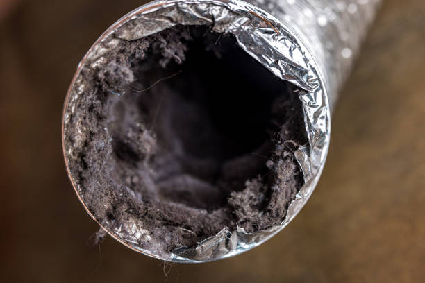 Best Emergency Air Duct Cleaning  in Superior, AZ